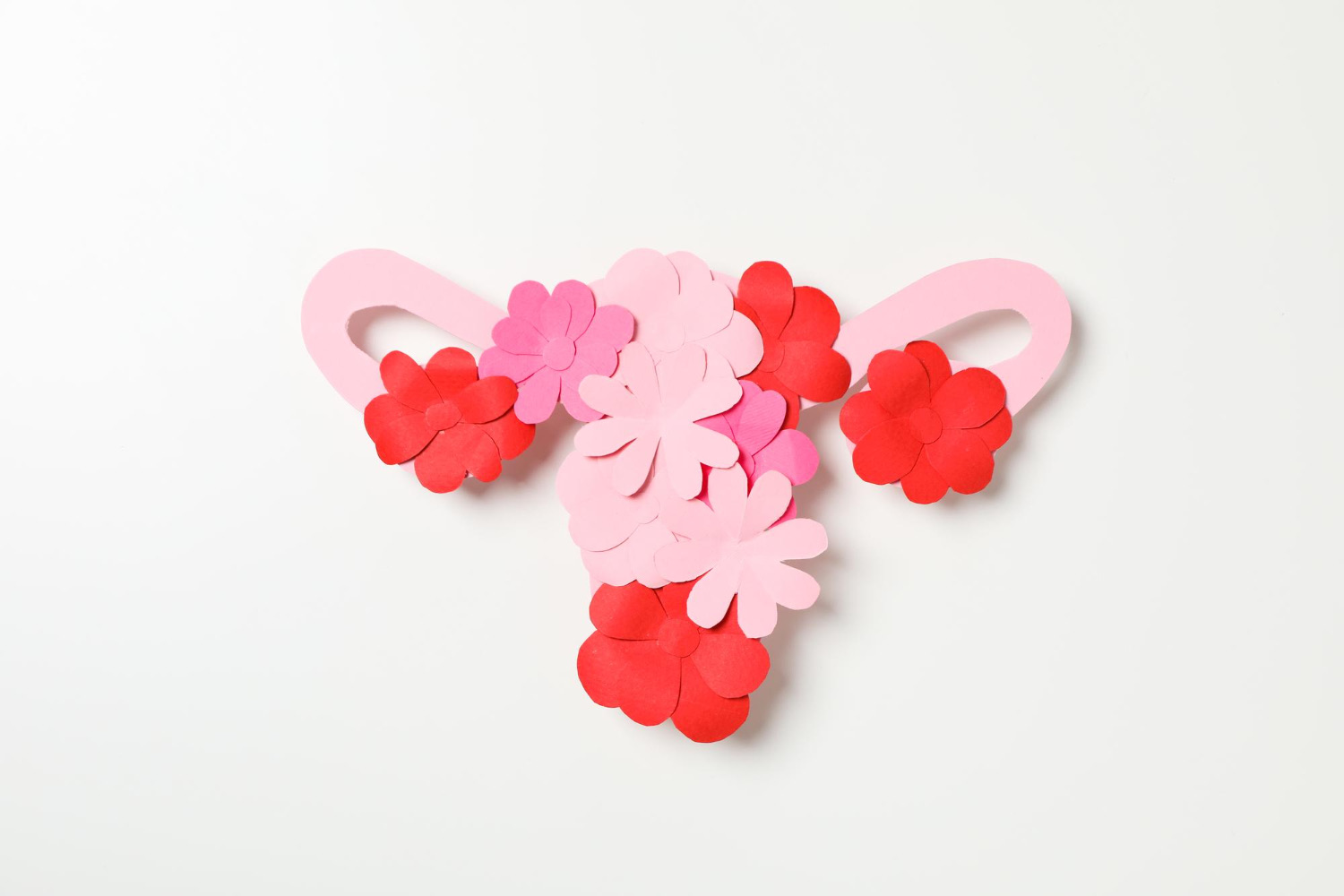 Illustrated uterus with paper flowers representing the hormonal cycle and acne after ovulation